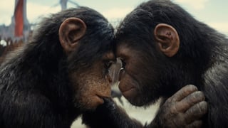 Image for ‘Kingdom of the Planet of the Apes’ Review: The Franchise Essentially Reboots with a Tale of Survival Set — At Last — in the Ape-Ruled Future