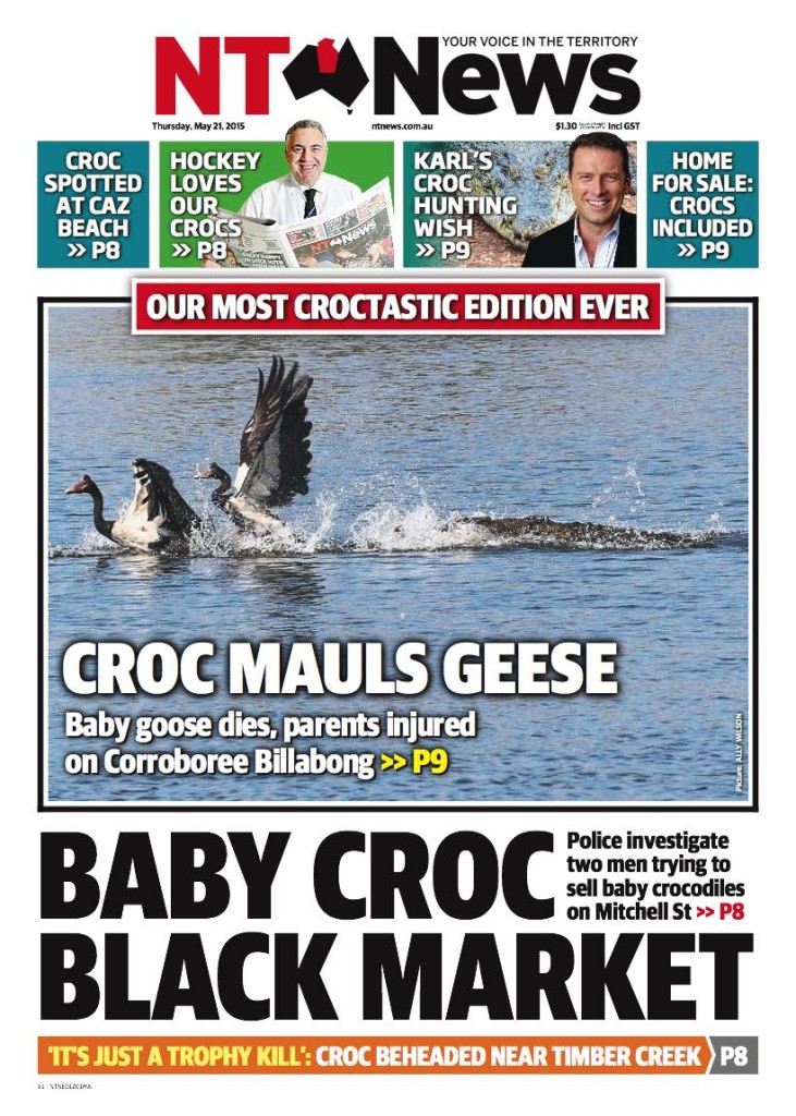 NT News croctastic