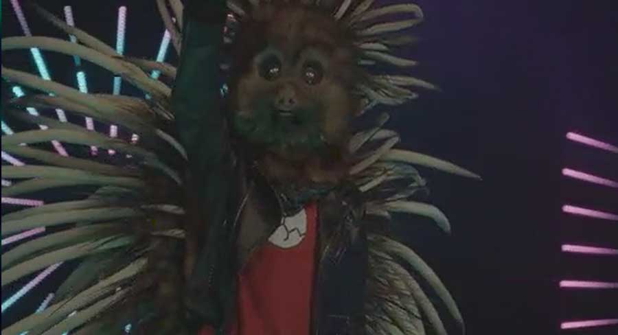 The Masked Singer Sloth