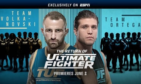 the return of the ultimate fighter