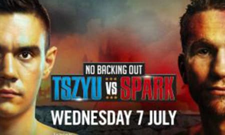 Tszyu Spark