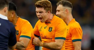 wallabies bledisloe