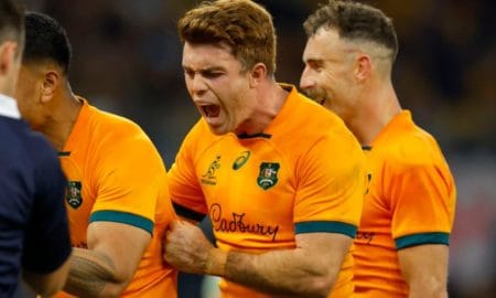 wallabies bledisloe