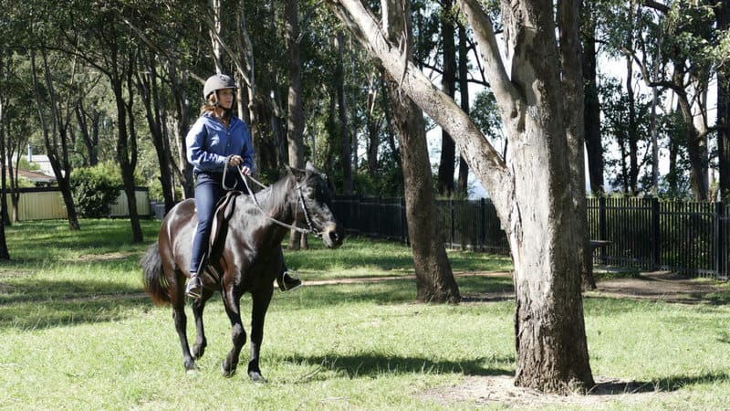 great southern landscapes