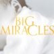 big miracles