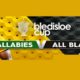 Bledisloe Cup