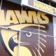 hawthorn hawks