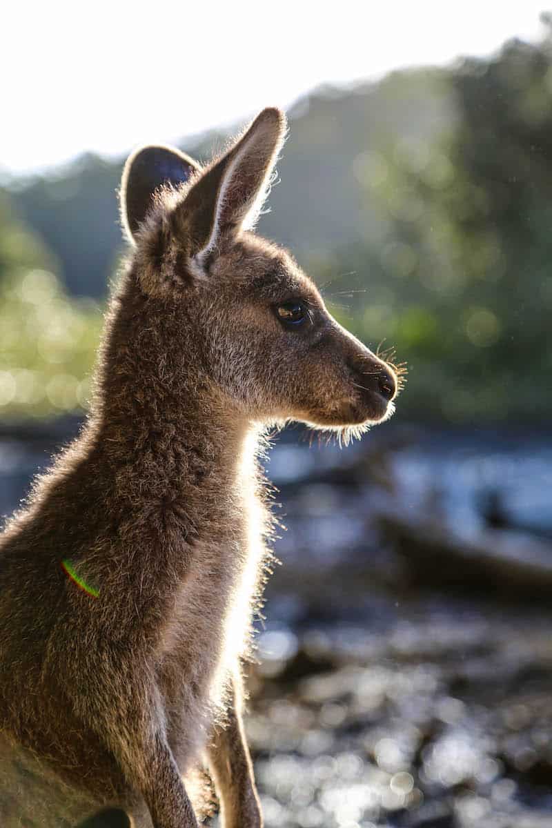 Australian Geographic Our Country