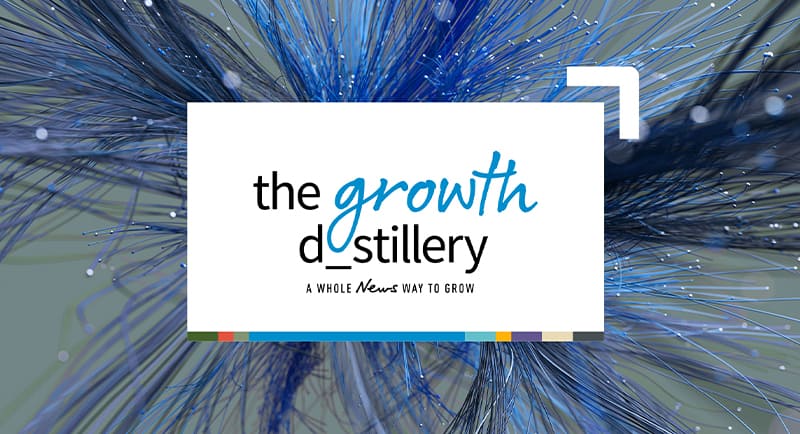 Growth D_Stillery