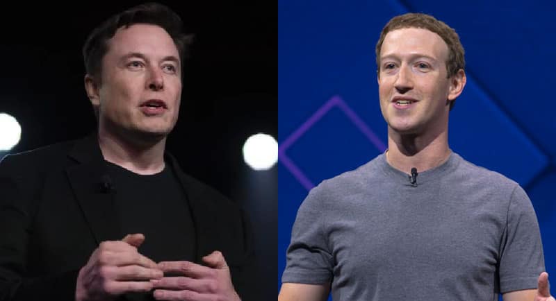 elon musk mark Zuckerberg