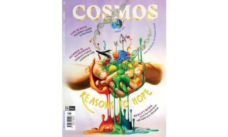 Cosmos