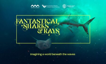 Fantastical Sharks and Rays Exhibiton by Innocean Australia and The Australian Marine Conservation Society