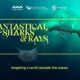 Fantastical Sharks and Rays Exhibiton by Innocean Australia and The Australian Marine Conservation Society