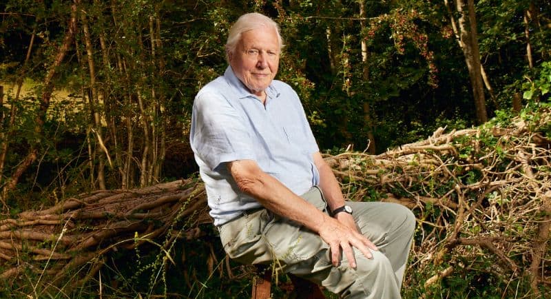 david attenborough planet earth III