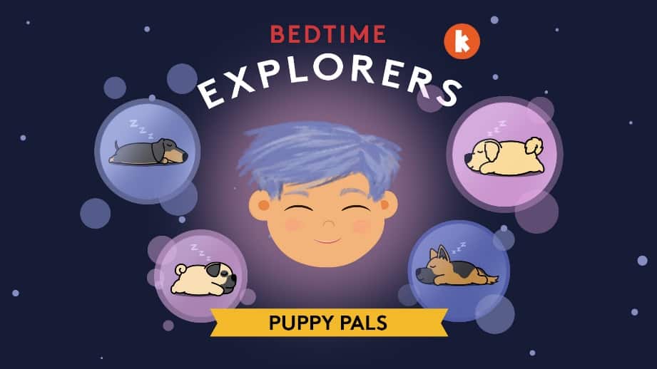 Bedtime Explorers 