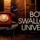 Boy Swallows Universe