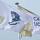 The Cannes Lions International Festival of Creativity flags with logo