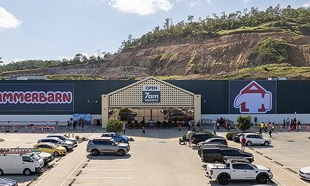 Bunnings becomes hammerbarn bluey