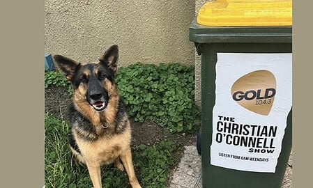 Christian o'connell bin campaign