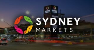 Sydney Markets - Neon Black