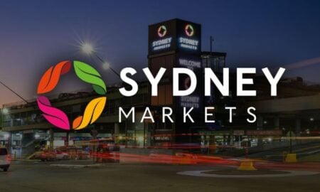 Sydney Markets - Neon Black