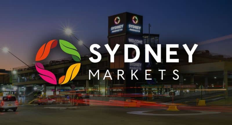 Sydney Markets - Neon Black