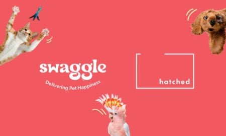 Hatched - Swaggle