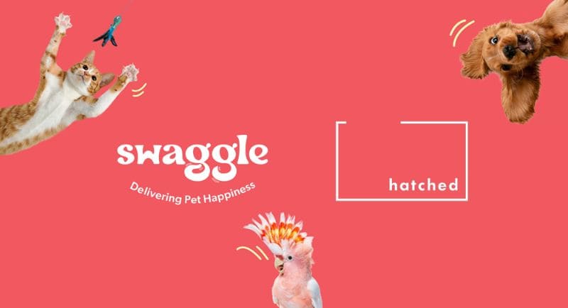 Hatched - Swaggle