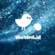 thebird.ai