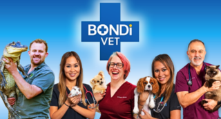 Fur Media - Bondi Vet