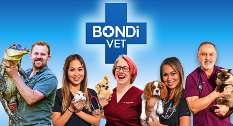 Fur Media - Bondi Vet