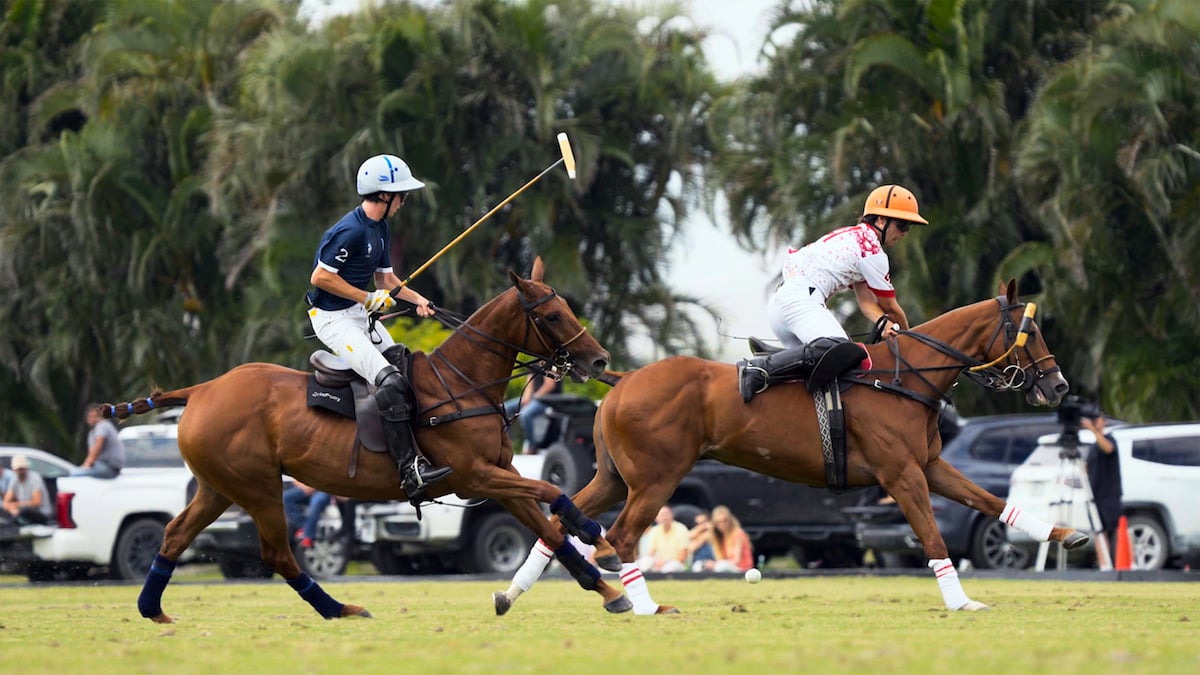 Prince Harry and Meghan Markle Polo Netflix.