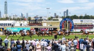 Magic Millions Raceday