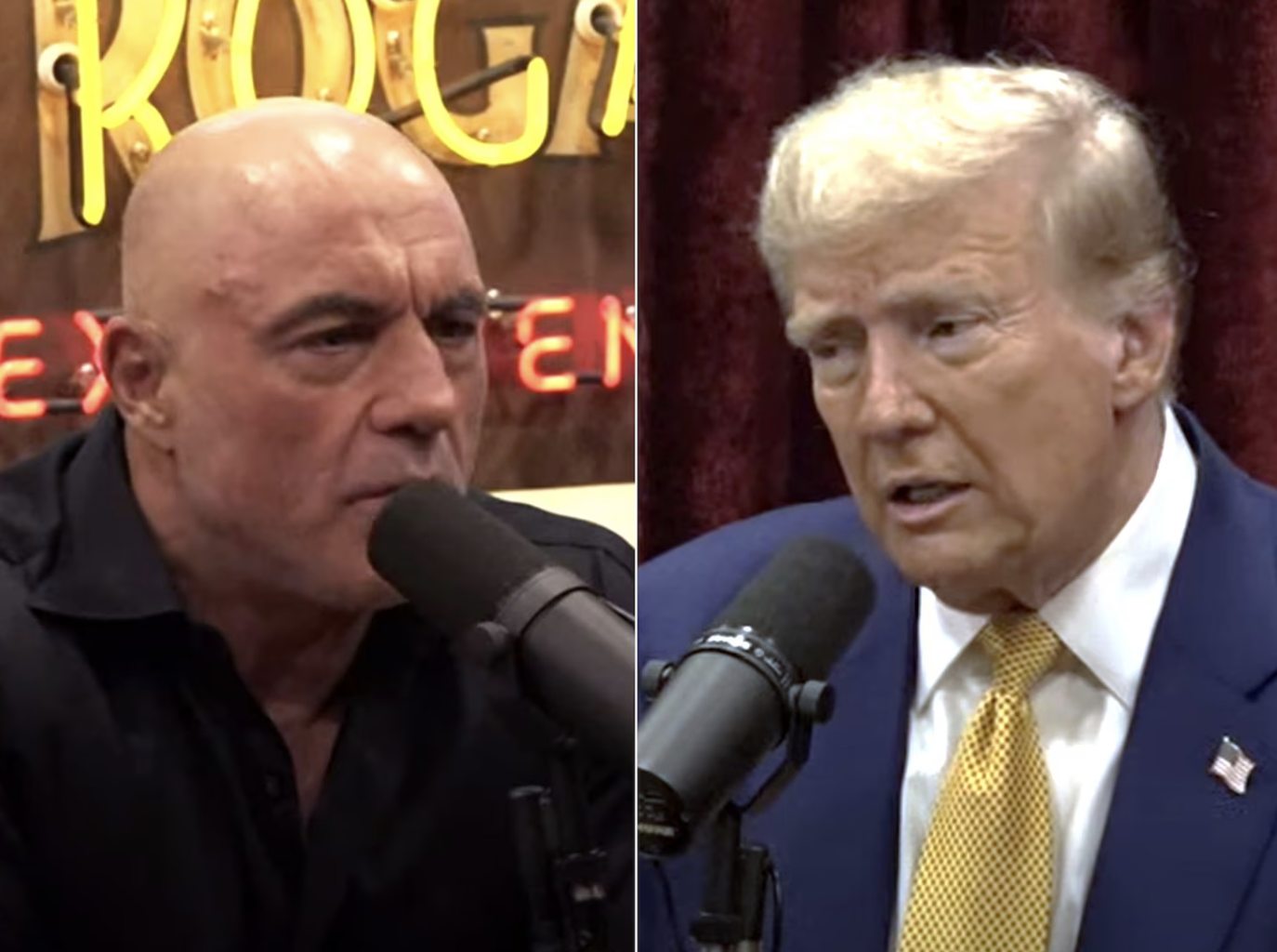 Joe Rogan and Donald Trump.