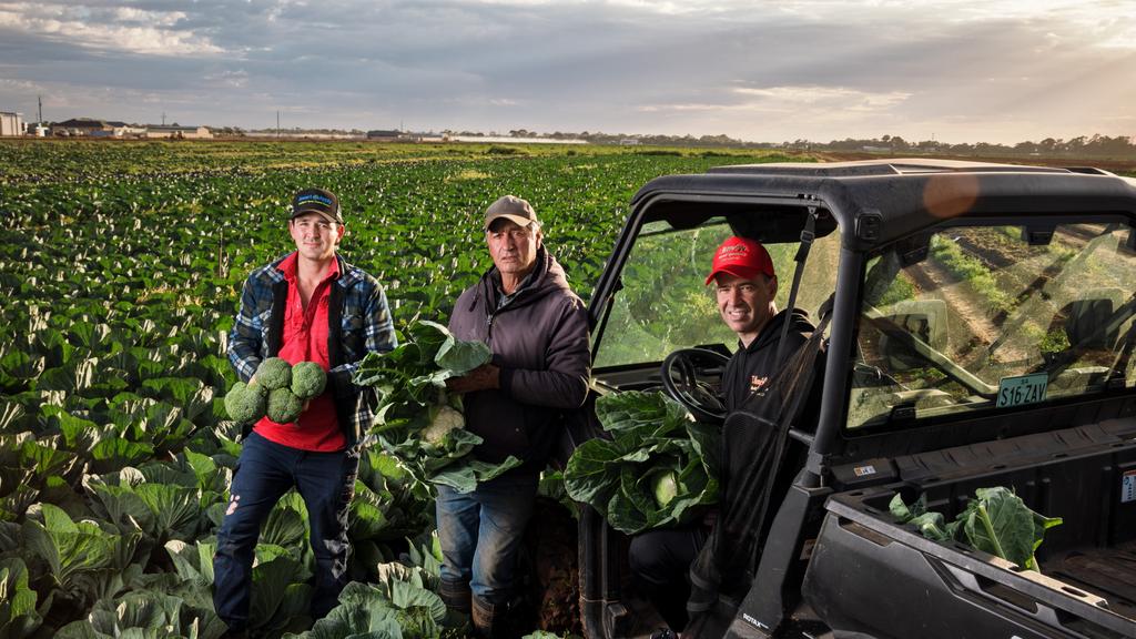 Horticulture Farmers of the Year, the Musolino family from SA.