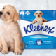 Kleenex and puppy