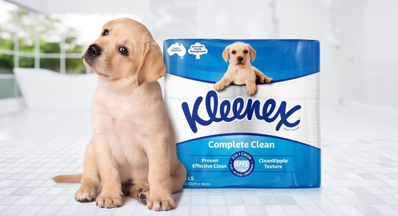 Kleenex and puppy