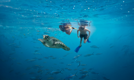 Tourism Fiji - Snorkelling