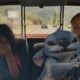 Box Office - Lilo & Stitch