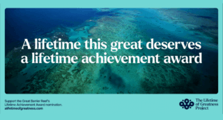 Great Barrier Reef x Supermassive