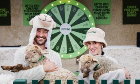 Wise, sheep, HAVAS Red