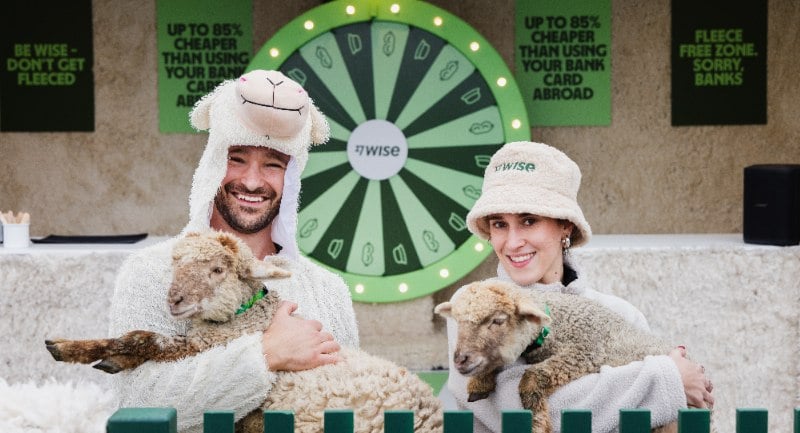 Wise, sheep, HAVAS Red