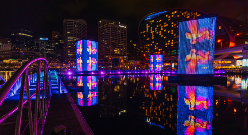 Samsung Vivid 2025 Studio