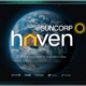 Suncorp x Leo x Haven (3)