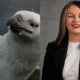 Allianz - The Flight of the finch - Lauren Halbert