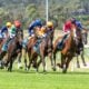Pakenham Cup Day