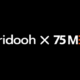 75media and Veridooh