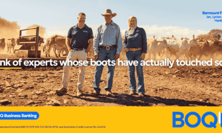 Bank of Queensland (BOQ) x TEAM ONE (2)
