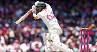 Cricket