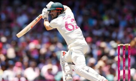 Cricket